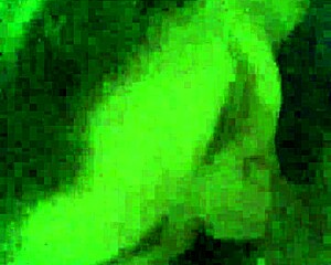 small dick bbw granny gives big tits blowjob