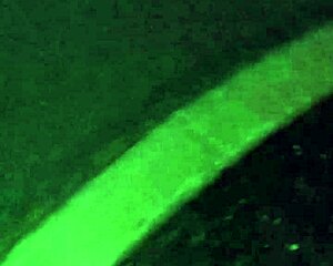 Showing natural tits privately on a warm night near the moon