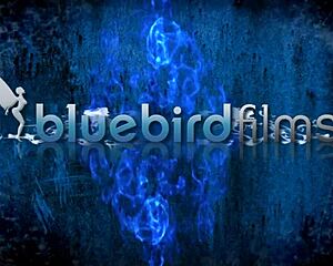 stacey saran deepthroats daisy rock's shaved pussy