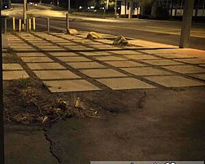 outdoor bondage fuck for first timers