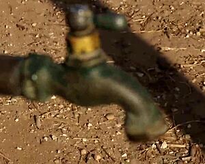 Is Samantha Rone's wet pussy lips driving her lover to orgasm?