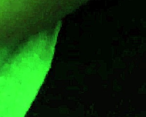 Did Brandy Coles Want You to Feel Her Squirt?