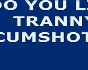 i big shooter ladyboy with huge load