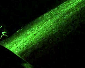 spying on my cheating wife