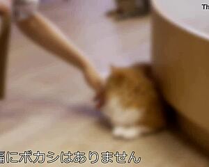 Amateur College Girl Kaori's Tall Body Enjoyed by Voyeur
