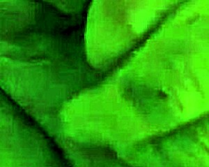 Shes Sucking Cock and Jacking Till Cum