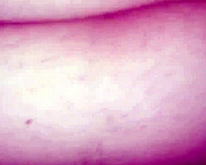 fuck a fat hairy pussy hard in doggystyle