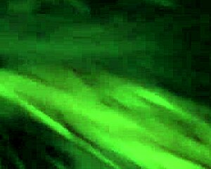 G�erita Gordibuena Loves Sucking Until Cum in Mouth.