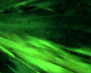 G�erita Gordibuena Loves Sucking Until Cum in Mouth.