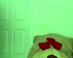 Stretching Workout Like Zodiac Animals