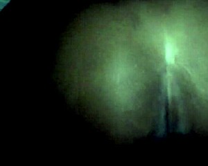 Tattooed Babe Gets Backshots In St. Louis