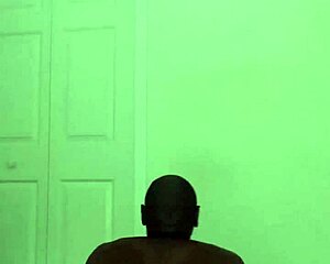 Stretching Workout Like Zodiac Animals