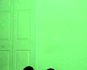 Stretching Workout Like Zodiac Animals