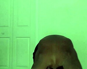 Stretching Workout Like Zodiac Animals