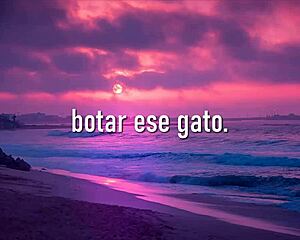 shakira bzrp music sessions letra