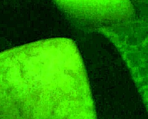 rich blowjob on big ass masturbating