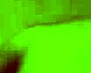 i explore the world inside jennifer 16 in this game.