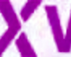 Ally Winters' POV Huge Cock Blowjob