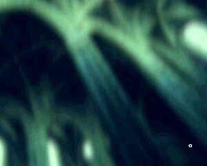 lets play pornocrates