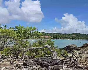 Ted Morro De Sao Paulo'da güzel esmerin açılan kıcını kaldırabilir mi?