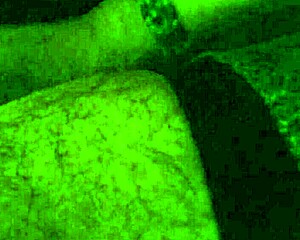 rich blowjob on big ass masturbating