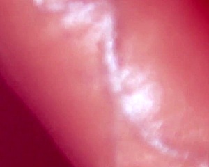 Fucking My Friend's Japanese Girlfriend In Close Up!