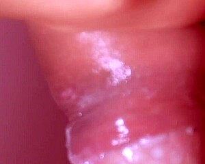Japanese Close-Up Cumshot Story in Detail