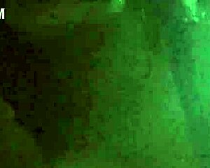 redbone passionately worships big black cock with deepthroat blowjob.