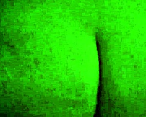 My wife bouncin’ on my cock reverse cowgirl in slow mo, her wet pussy drippin’ all over!