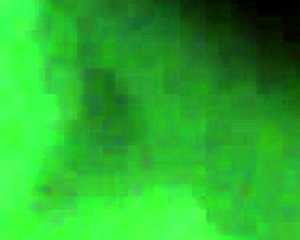 mexican prostitute from puebla loves anal sex 😈