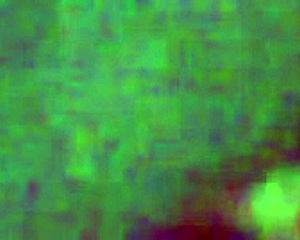 mexican prostitute from puebla loves anal sex 😈