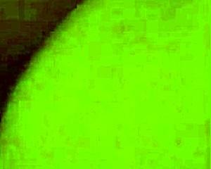 White Cock Rams A Big Ebony Ass Deepthroat