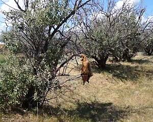 Savannah vixen, that mature amateur, gets wild outdoors!