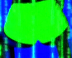 la more linda dancing.