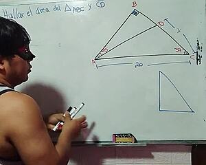 12 calcula mi x en triángulo sexual matemático