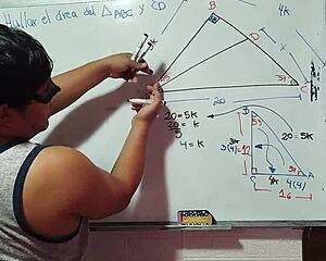 12 calcula mi x en triángulo sexual matemático