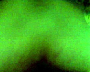 Blanquita teen 18+ gets penetrated from behind.