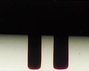 i'm queen jasmine with the prince, jasmine sherni and adonis breeds, licking and deepthroating.