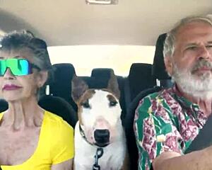 we drive around east oahu chatting about sexual things with mature milf