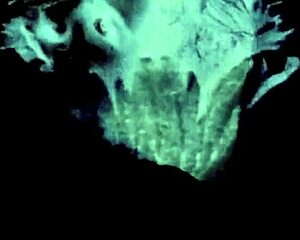 vintage pornography threesomes with hairy beaver