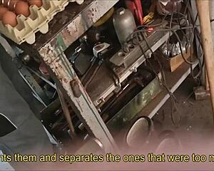 Straight Farmer Convinced For Blowjob