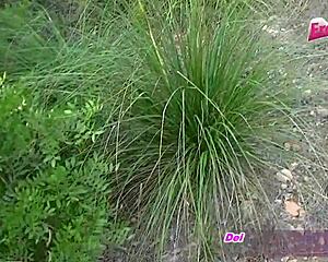 german teen gets anal pov fucked in the forest outdoors