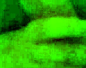 In this neutral narrative, the focus is on sucking as an act of intimacy without explicit details