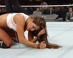 Nikki Bella vs Naomi in extreme rules match 2015.