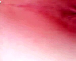 Se La Chupo Con Gran Placer