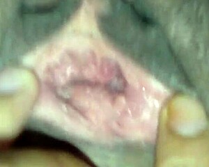 Echtes Heimvideo raues Freundin-Sex