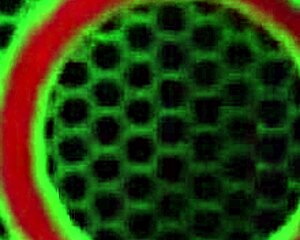 Sar4 Jay Finger Fucks Herself On The Patio With Massive Boobs