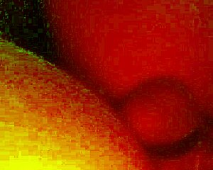 danielle roy in a squirting scene