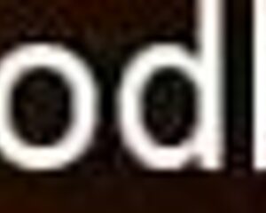 Seduction In Exotic New Delhi