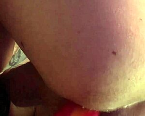 Anal Loosing With Horse Cock Dildo